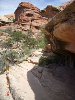 135 775. Canyonlands National Park Needles - Chesler Park hike