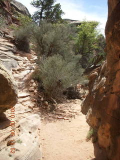 138 775. Canyonlands National Park Needles - Chesler Park hike