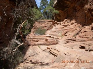 139 775. Canyonlands National Park Needles - Chesler Park hike