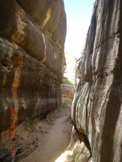 141 775. Canyonlands National Park Needles - Chesler Park hike