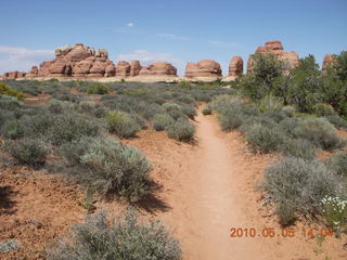 146 775. Canyonlands National Park Needles - Chesler Park hike