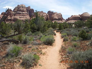 147 775. Canyonlands National Park Needles - Chesler Park hike