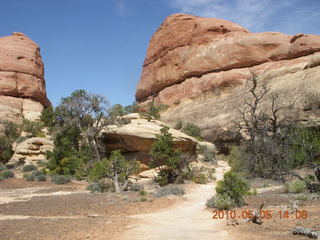 150 775. Canyonlands National Park Needles - Chesler Park hike