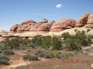 151 775. Canyonlands National Park Needles - Chesler Park hike