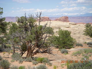 153 775. Canyonlands National Park Needles - Chesler Park hike