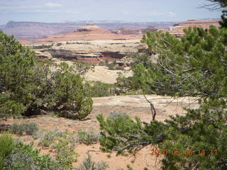 154 775. Canyonlands National Park Needles - Chesler Park hike