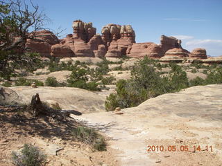 155 775. Canyonlands National Park Needles - Chesler Park hike