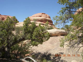 157 775. Canyonlands National Park Needles - Chesler Park hike