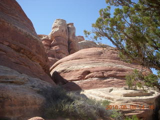 159 775. Canyonlands National Park Needles - Chesler Park hike