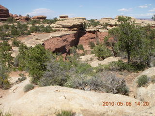 161 775. Canyonlands National Park Needles - Chesler Park hike