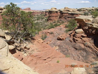 162 775. Canyonlands National Park Needles - Chesler Park hike