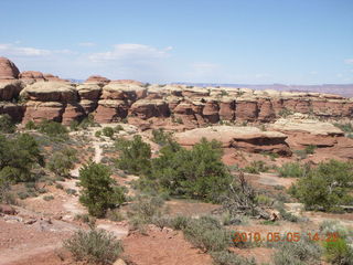 165 775. Canyonlands National Park Needles - Chesler Park hike