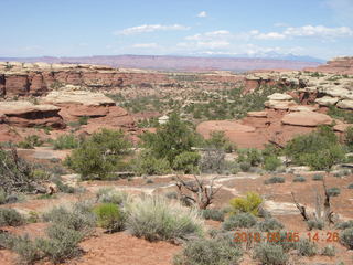 166 775. Canyonlands National Park Needles - Chesler Park hike