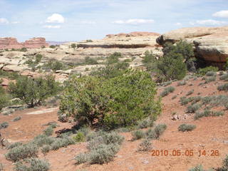 167 775. Canyonlands National Park Needles - Chesler Park hike