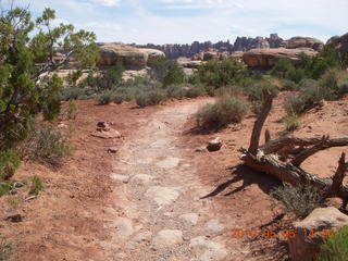 168 775. Canyonlands National Park Needles - Chesler Park hike