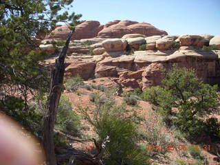 170 775. Canyonlands National Park Needles - Chesler Park hike