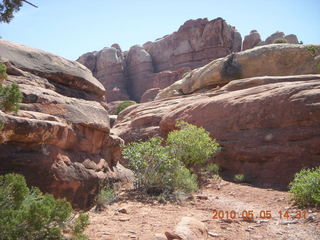 172 775. Canyonlands National Park Needles - Chesler Park hike