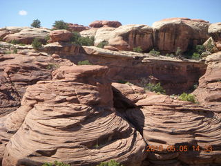 176 775. Canyonlands National Park Needles - Chesler Park hike