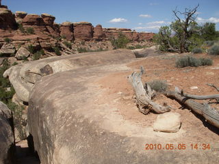 180 775. Canyonlands National Park Needles - Chesler Park hike