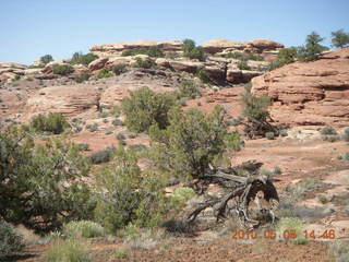 189 775. Canyonlands National Park Needles