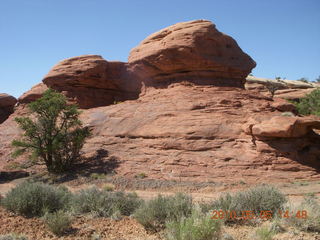 190 775. Canyonlands National Park Needles