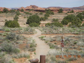 202 775. Canyonlands National Park Needles