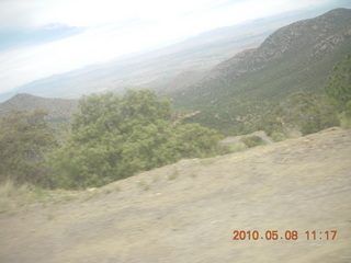 grocery store totem pole - drive up Mt. Graham - e