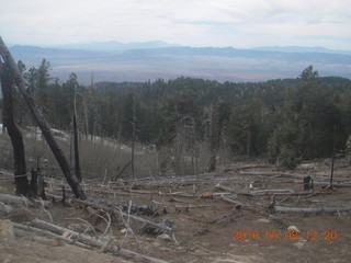 drive up Mt. Graham - waterfall