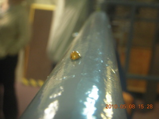 Vatican telescope at Mt. Graham - ladybug