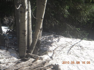 drive down Mt. Graham - snow