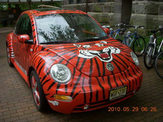 Princeton reunions - Princeton-style VW new bug