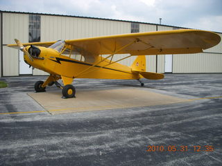 Neil's Piper Cub