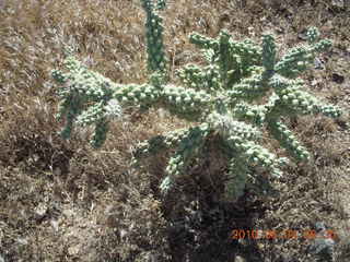 Superior Airport (E81) run