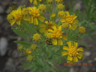 NM-RAC New Mexico back-country get-together - Me-Own