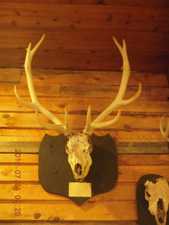 Grand Canyon Caverns (L37) trip - skull