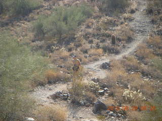 1256 7av. Lost Dog Wash run - Adam running