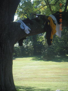 CHS XC 2010 - runners' stuff
