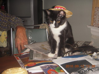 Sea Girt - M&M's cat plus hat