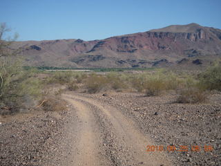 179 7br. Alamo Lake run