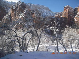 52 7ex. Zion National Park trip