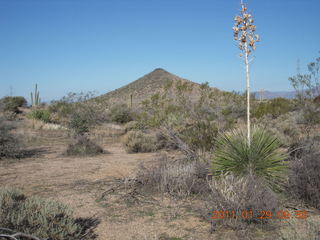 McDowell-Sonoran Challenge