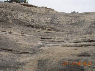 Canyonlands Needles - Roadside Ruin hike