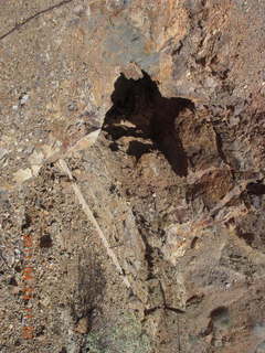 Ruhil's pictures - Marble Canyon - Navajo Bridge - group picture being taken