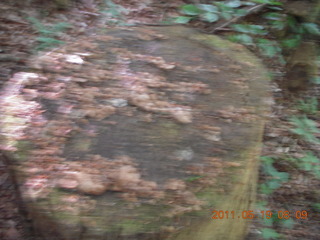 17 7kk. Neunkirchen run - blurry stump