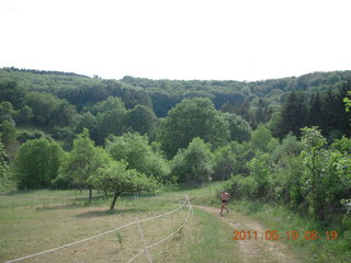 1537 7kk. Neunkirchen run - Adam running