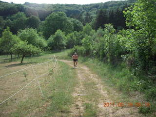 1538 7kk. Neunkirchen run - Adam running