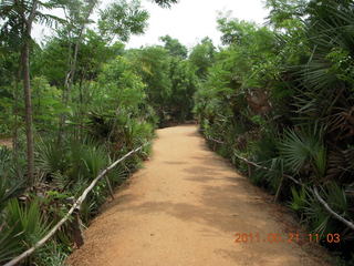 India - Auroville