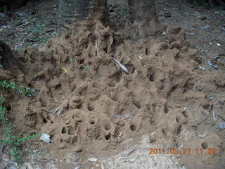 India - Auroville sign