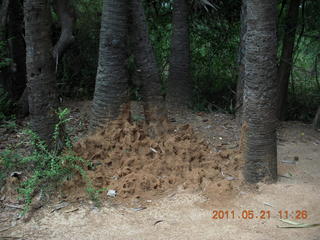 India - Auroville sign