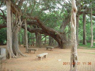 India - Auroville sign